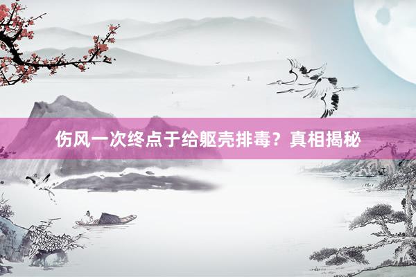 伤风一次终点于给躯壳排毒？真相揭秘
