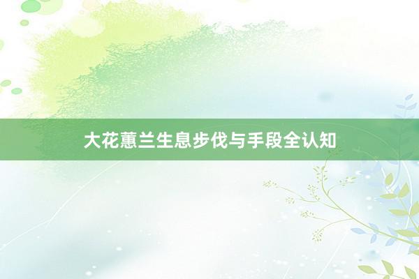 大花蕙兰生息步伐与手段全认知