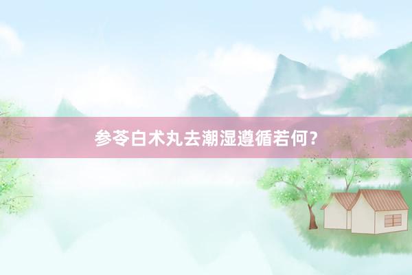 参苓白术丸去潮湿遵循若何？