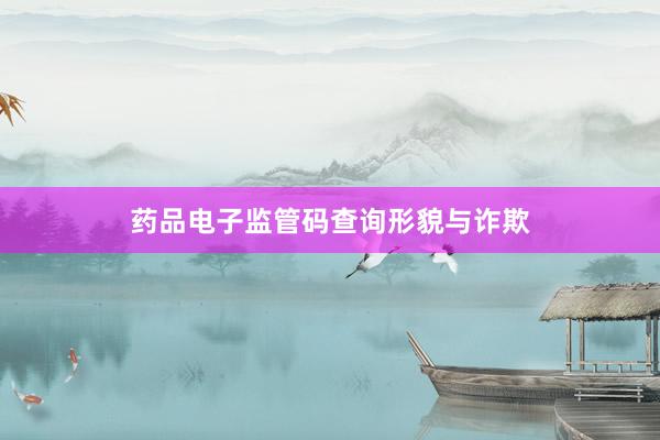 药品电子监管码查询形貌与诈欺