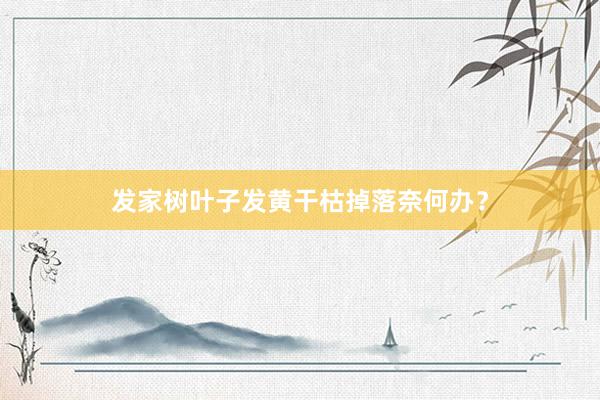 发家树叶子发黄干枯掉落奈何办？